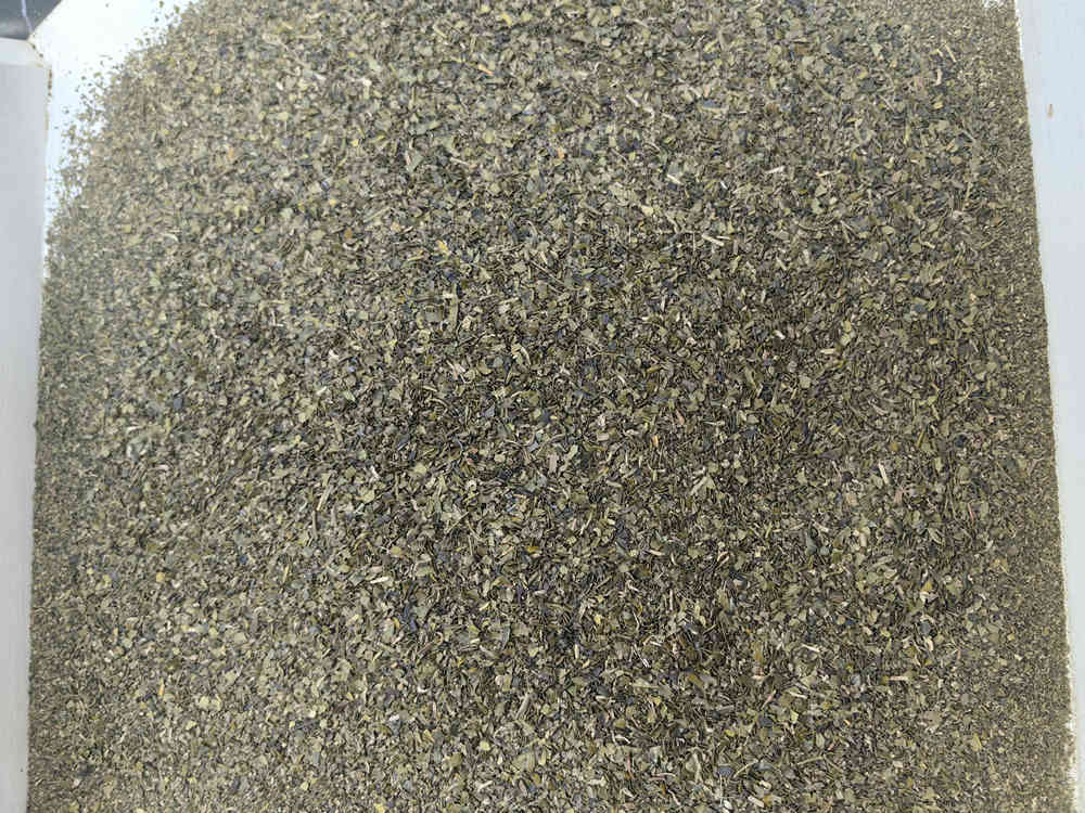 Green tea Fanning 12 36mesh